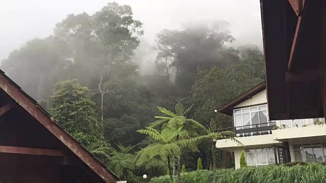 朦胧而神秘的基纳巴卢公园周围是郁郁葱葱的雨林视频素材