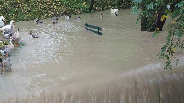 大雨过后，塞里奥河涨了起来。贝加莫省，意大利北部视频素材