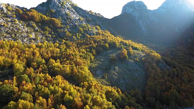 山地和森林天线视频素材