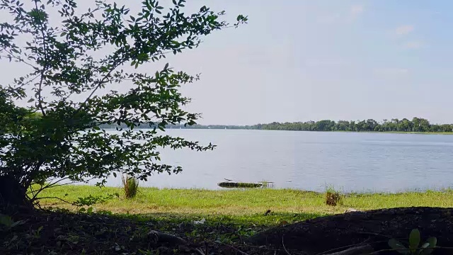 海岸边的草和水面背景美丽的河流与波浪地平线表面纹理视图。视频素材