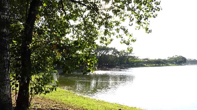 海岸边的草和水面背景美丽的河流与波浪地平线表面纹理视图。视频素材