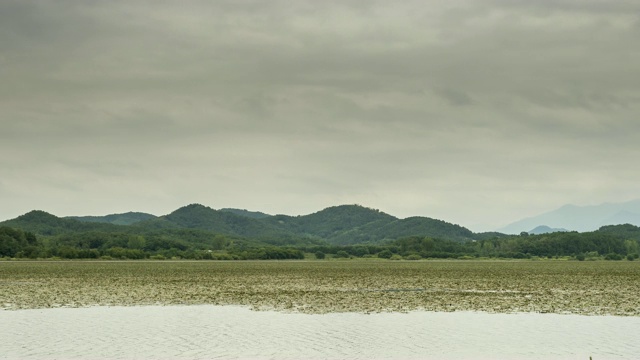 昌宁郡的Upo湿地(韩国最大的天然湿地之一)视频素材