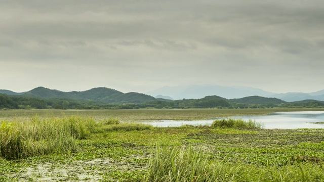 昌宁郡的Upo湿地(韩国最大的天然湿地之一)视频素材