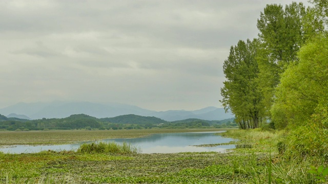 昌宁郡的Upo湿地(韩国最大的天然湿地之一)视频素材