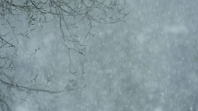 飘雪和强风，模糊了背景。视频素材