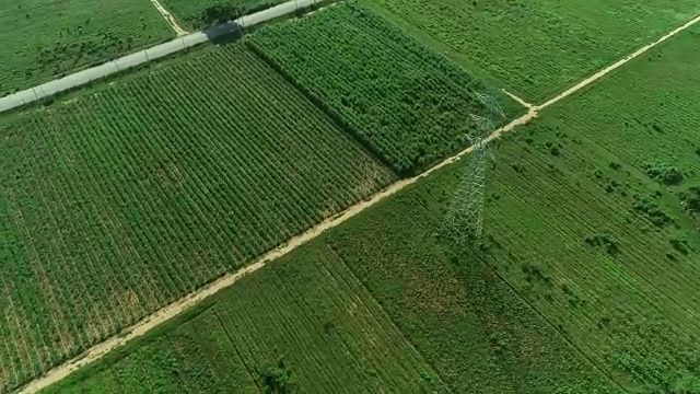 高空拍摄高压杆子，户外稻田景观视频素材