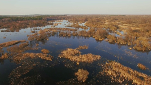 无人机在淹水荒野上空低空飞行视频素材