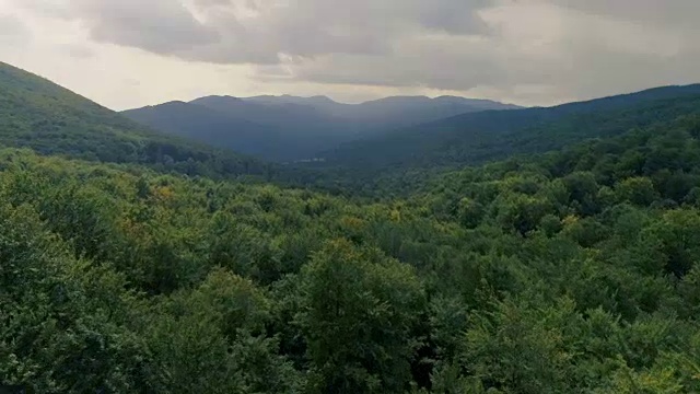 探索荒野。山地森林。鸟瞰图视频素材