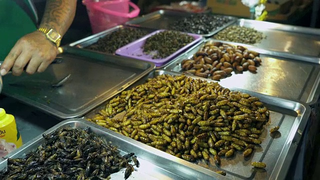 异国情调的食品。泰国市场的昆虫幼虫视频素材