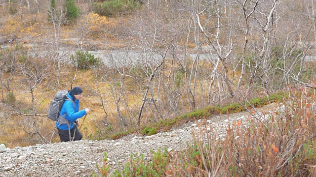 一个男人独自在一个美丽的公园里旅行。特写镜头。他爬上了山。带着背包和特殊的拐杖，适合斯堪的纳维亚人走路。他过着健康的生活。视频素材