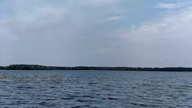 湖面上的波浪和飞翔的海鸥视频下载