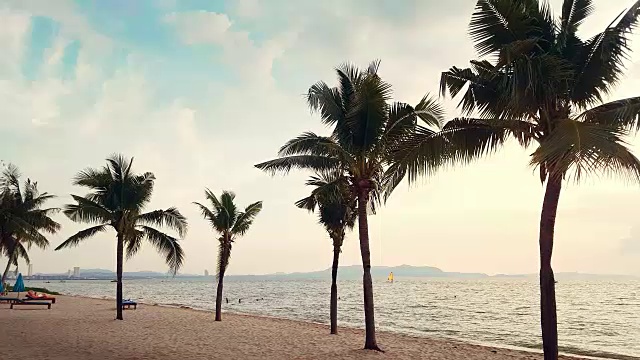 舒适的海滩和沙滩，夕阳下金色的天空和椰子树视频素材