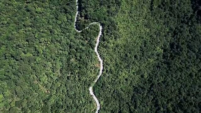 鸟瞰图蜿蜒的道路在森林和汽车驾驶，安全驾驶的概念视频素材