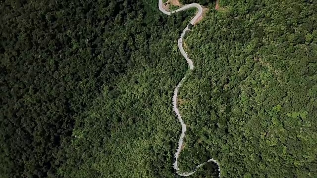 鸟瞰图蜿蜒的道路在森林和汽车驾驶，安全驾驶的概念视频素材