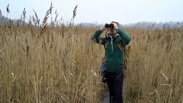 一个背着背包的中年男子穿过芦苇丛视频素材