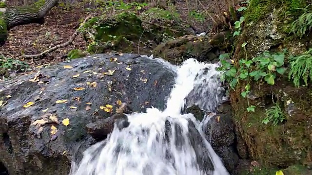 乡村小瀑布视频素材