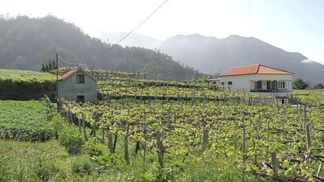 风景之间的Sao Vicente和Funchal，马德拉，葡萄牙，大西洋，欧洲视频素材