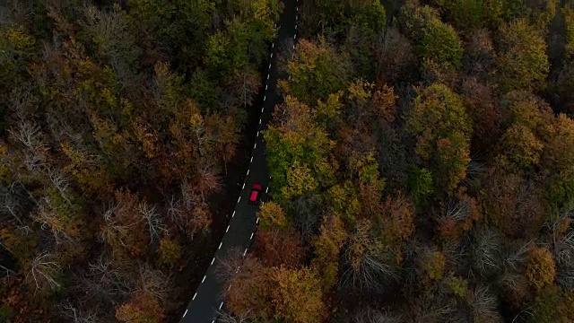 航拍加泰罗尼亚山区秋色斑斓的山毛榉林间令人惊叹的道路。视频素材