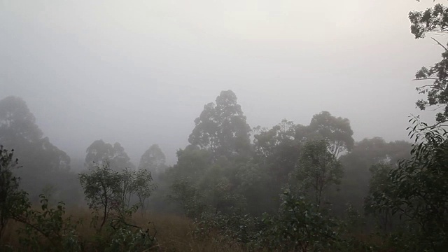 雾在山谷中翻滚视频素材