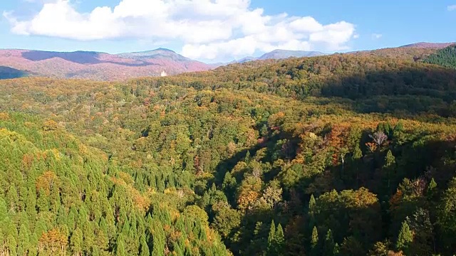 空撮　秋の紅葉视频素材