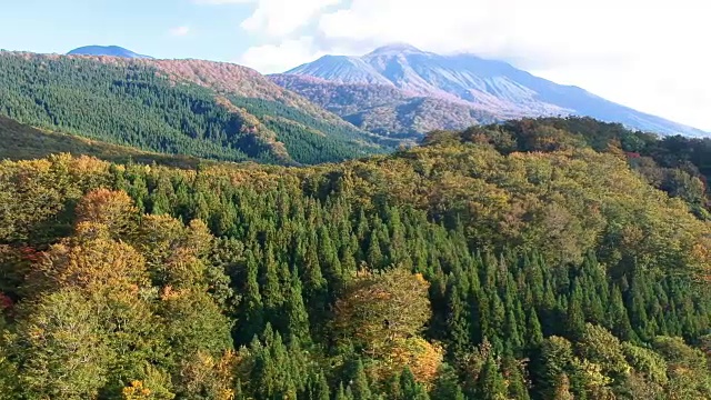 空撮　秋の紅葉视频素材