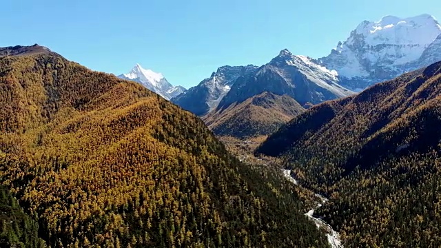 鸟瞰亚丁自然保护区以松林和雪山为背景的秋谷视频素材