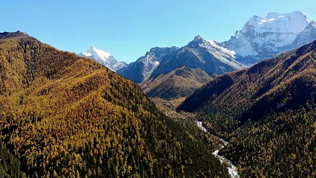 鸟瞰亚丁自然保护区以松林和雪山为背景的秋谷视频素材