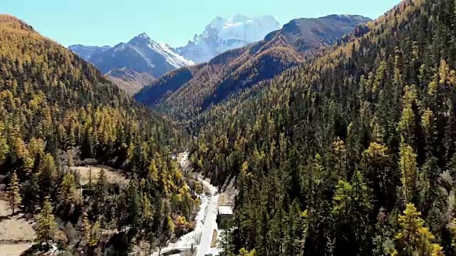 鸟瞰亚丁自然保护区以松林和雪山为背景的秋谷视频素材