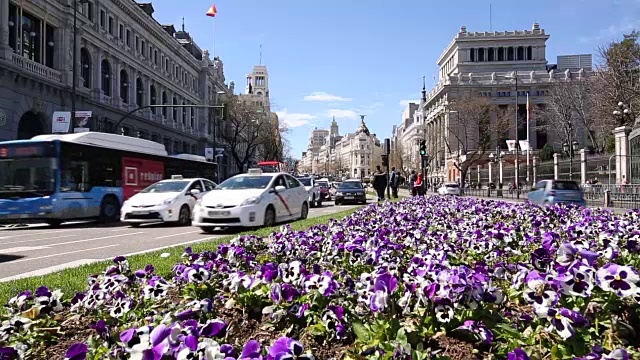 在阳光明媚的Calle de Alcala，西班牙，马德里，欧洲的交通全景拍摄视频素材