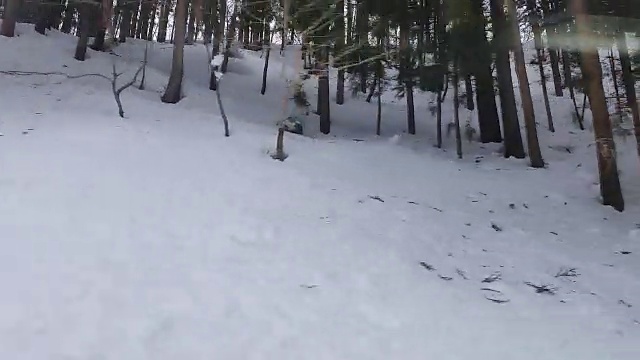 视频驾驶冬天的雪路。视频素材