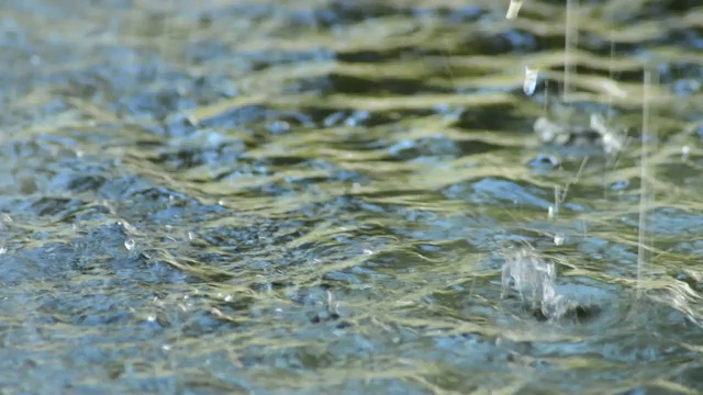 水滴落在水池的水坑里视频素材