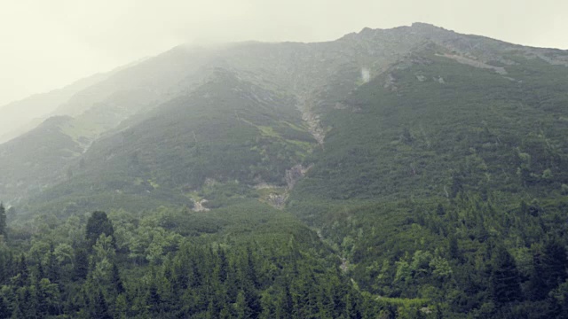 山在雨和雾。雨滴滴落，山气湿冷。雾中的树木丛生的小山视频素材