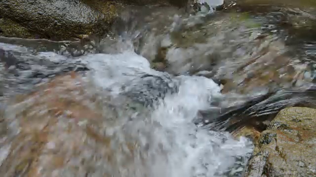 水在森林中流过河流视频素材