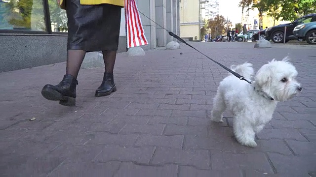 一个女人牵着一只小狗走在街上。视频素材