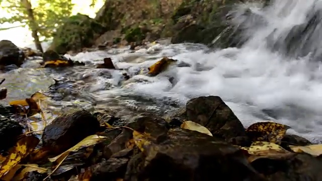 流淌在田园诗般的秋林中的小溪视频素材