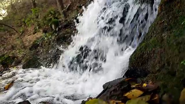 流淌在田园诗般的秋林中的小溪视频素材