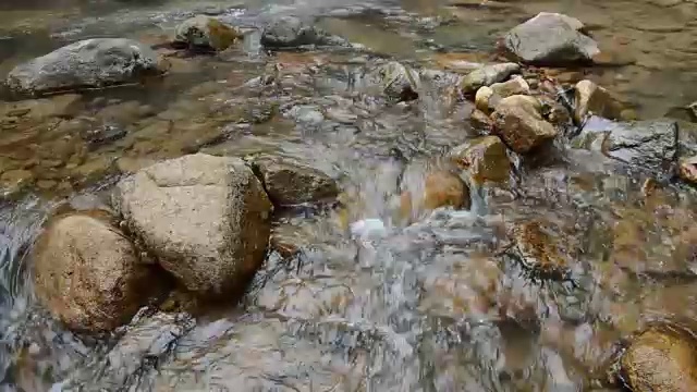 水在森林中流过河流视频素材