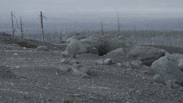 火山景观地面上的岩石，堪察加半岛，2009年视频素材