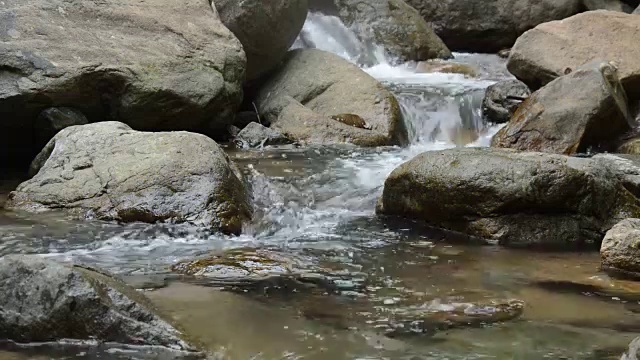 水在森林中流过河流视频素材