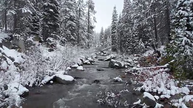 空中:宁静的山涧流过风景如画的雪林。视频素材