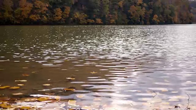 在晴朗的秋天午后，眺望湖面视频素材