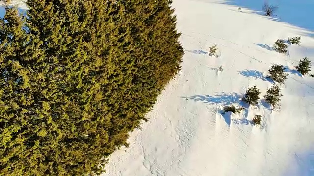 空中，飞翔在冰雪覆盖的雪山森林的荒野上。视频素材