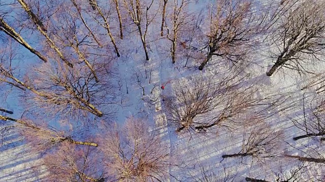 空中，飞翔在冰雪覆盖的雪山森林的荒野上。视频素材