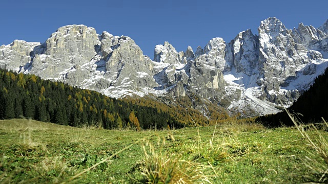 高山峡谷的自然风光，周围是森林和山脉视频素材