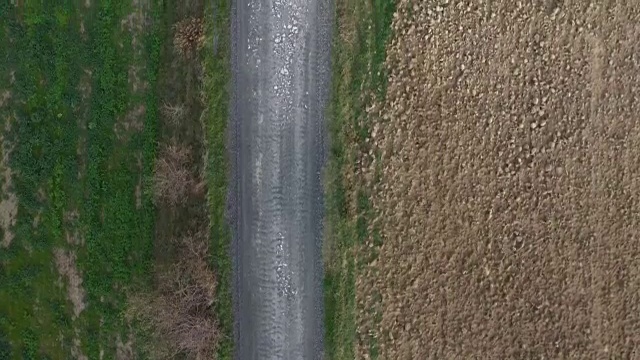 意大利托斯卡纳的蜿蜒道路视频素材