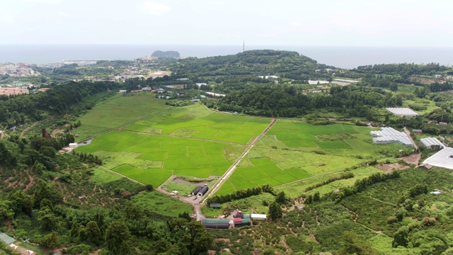 Hanon maar火山口(韩国最大的火山口)位于济州岛西浦市附近视频素材