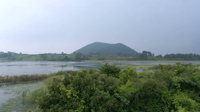 Jimibong Oreum(火山锥)后面的候鸟栖息地在济州岛视频素材