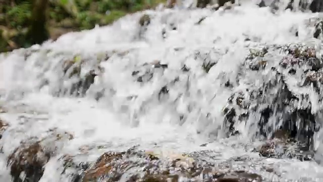 森林中的瀑布视频素材