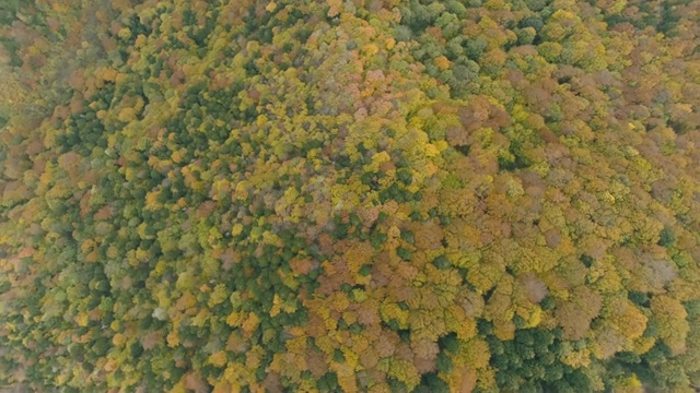 保加利亚美丽的秋天山景。鸟瞰图旅行视频素材