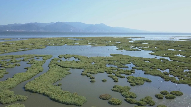 伊兹米尔湾佛朗明哥无人机，海视频素材